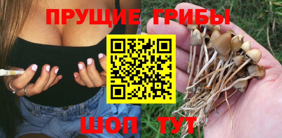 Галлюциногенные грибы прущие грибы  Псилоцибиновые грибы Psilocybe  Вход с VPN  Корсаков 