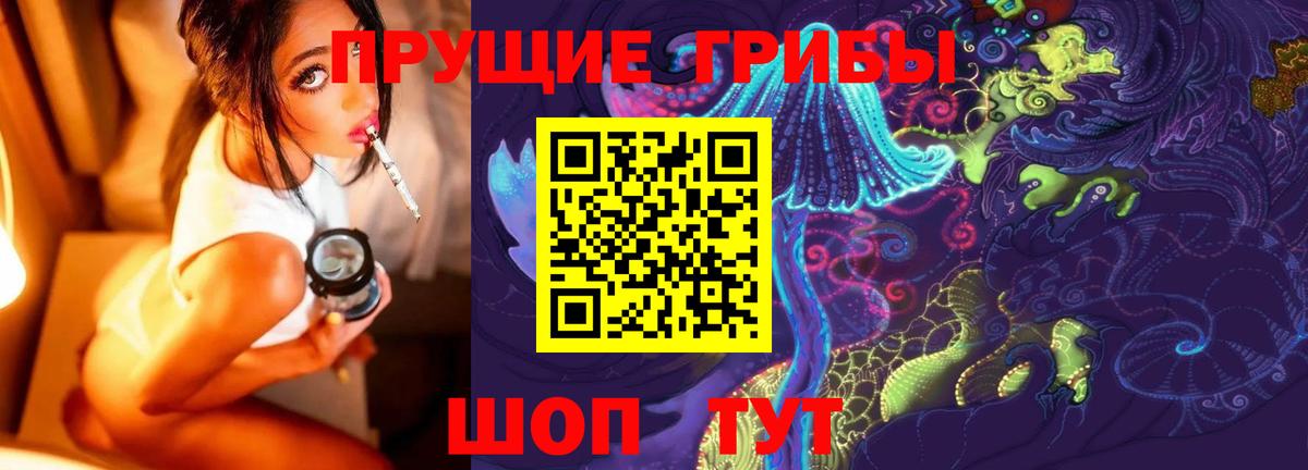 Галлюциногенные грибы Psilocybine cubensis Корсаков